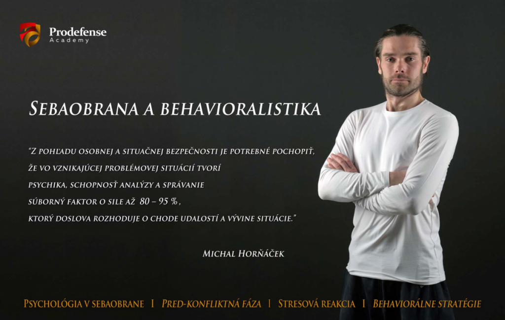 Profil / Resumé: